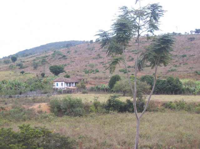 carmesia_30-10