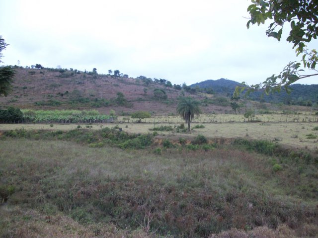carmesia_30-11