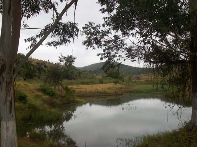 carmesia_30-14