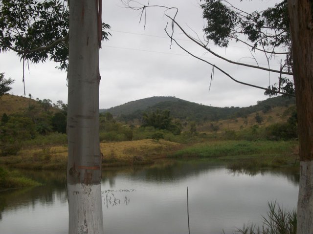 carmesia_30-16