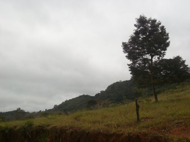 carmesia_30-18