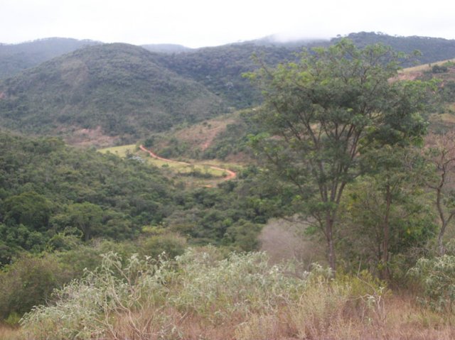 carmesia_30-19
