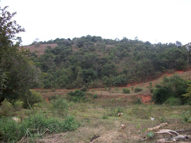 carmesia_30-2