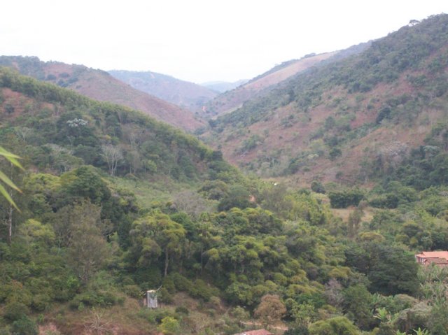 carmesia_30-24