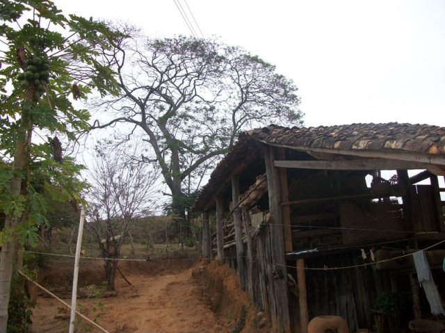 carmesia_30-3