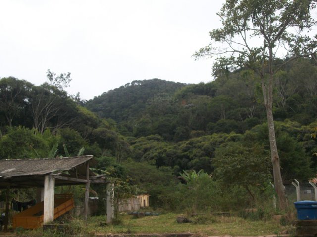 carmesia_30-36