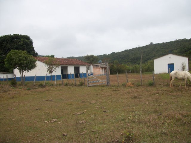 carmesia_30-4