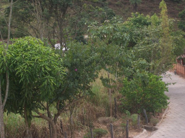 carmesia_30-56