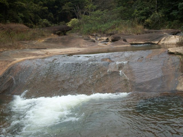 carmesia_30-65