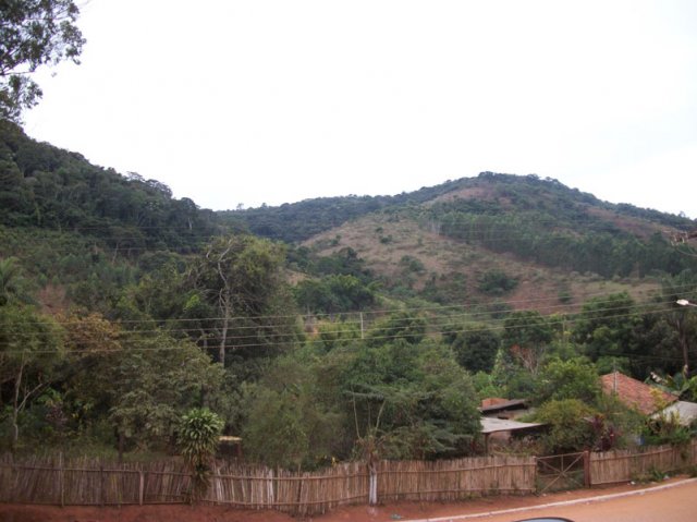 carmesia_30-74