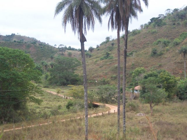 carmesia_30-80