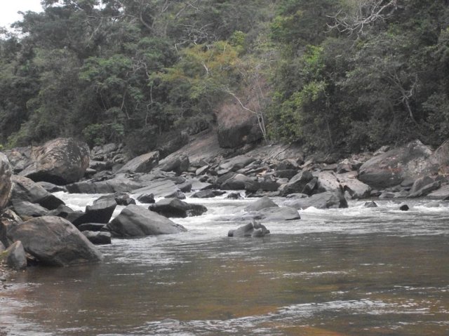 carmesia_30-81