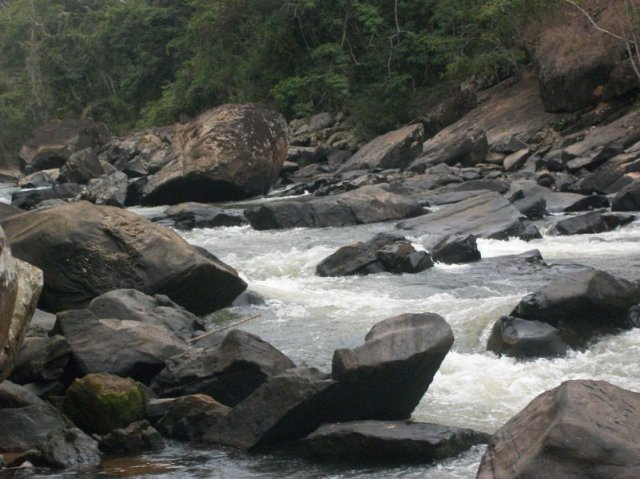 carmesia_30-83