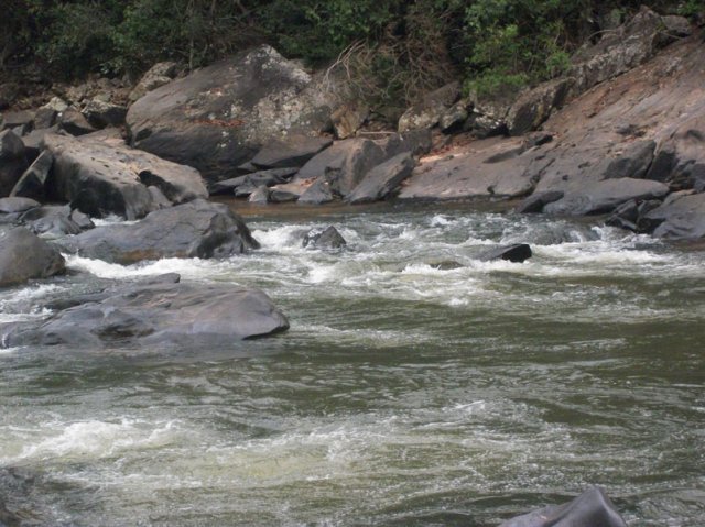 carmesia_30-84
