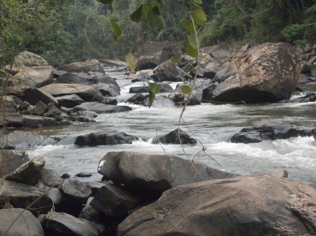 carmesia_30-87