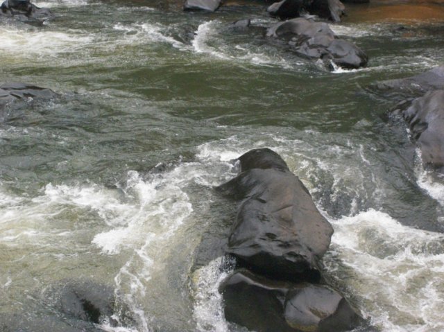 carmesia_30-88