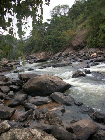 carmesia_30-90