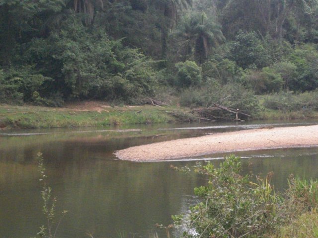 carmesia_30-91