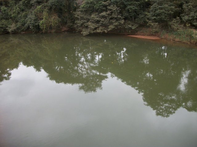 carmesia_30-95