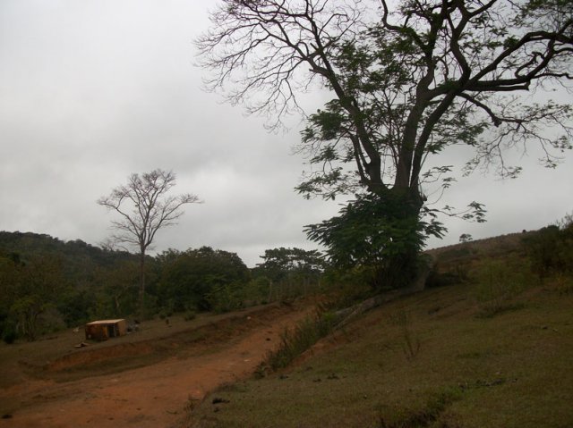 carmesia_30