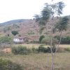 carmesia_30-10