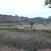 carmesia_30-11
