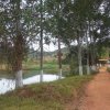 carmesia_30-13
