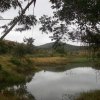 carmesia_30-14