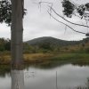 carmesia_30-16