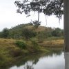 carmesia_30-17