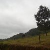 carmesia_30-18