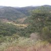 carmesia_30-19