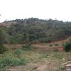 carmesia_30-2