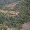 carmesia_30-20
