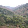 carmesia_30-24