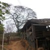 carmesia_30-3