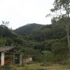 carmesia_30-36