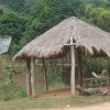 carmesia_30-50