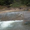 carmesia_30-65