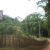 carmesia_30-70