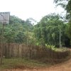 carmesia_30-71