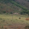 carmesia_30-79