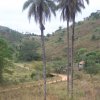 carmesia_30-80
