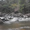 carmesia_30-81
