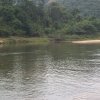 carmesia_30-85