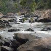 carmesia_30-87