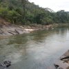 carmesia_30-89
