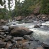 carmesia_30-90