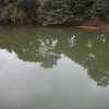 carmesia_30-95