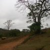 carmesia_30